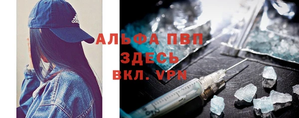 PSILOCYBIN Балабаново
